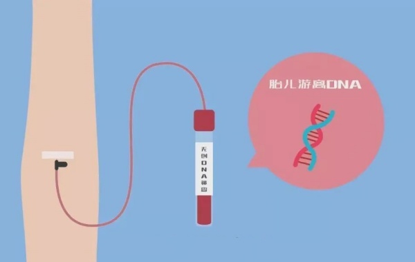 很多医生不推荐孕妇做全套无创dna