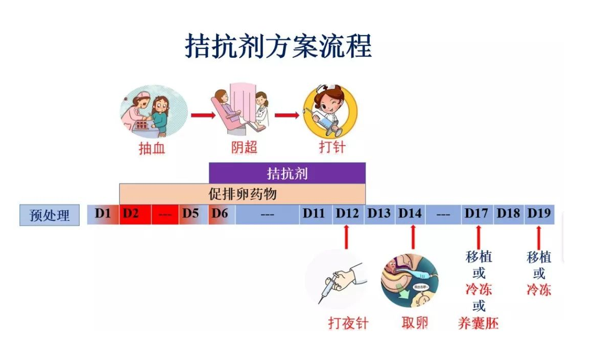 试管拮抗剂方案的利弊，​试管拮抗剂方案治疗不孕不育的方法