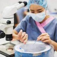 3天的冻胚着床过程分享，简单3个步骤就&ldquo;着陆&rdquo;
