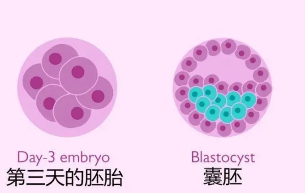 实验室培养设备不好容易导致失败