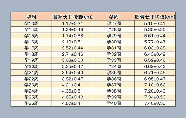 股骨与孕周进行对照检测胎儿发育