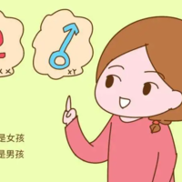 生男生女是怎么决定的？影响生男生女的因素