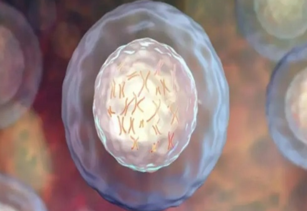 鲜胚移植成功后可能会轻微出血