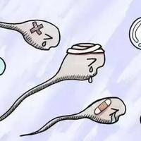 上一篇