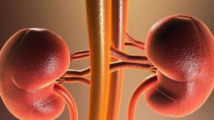 怀孕12周后可以做肾功能三项检查