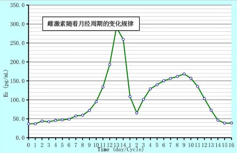 女性一个月性激素变化图