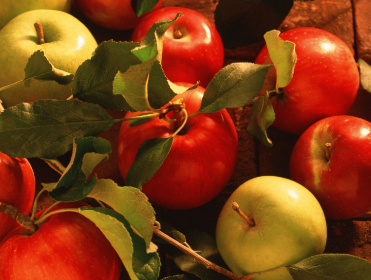 胆固醇高可以吃苹果
