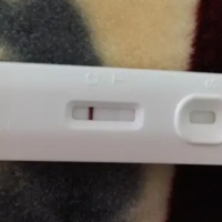 上一篇