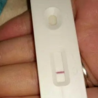上一篇