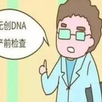 上一篇