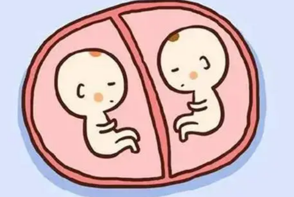  30岁做试管怀双胞胎几率比较高