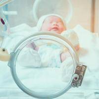 2024年早产新生儿住保温箱医保是最高报销70%吗？