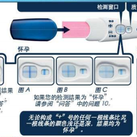 下一篇