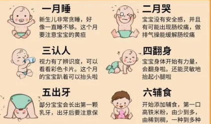 宝宝五月份会开始长乳牙