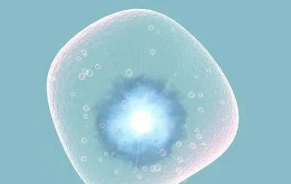 卵泡可能在卵巢内或者被身体消化吸收