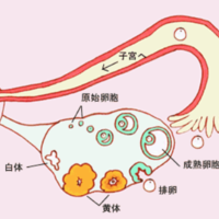 上一篇