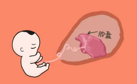 产妇月子期吃胎盘的最佳时间是第几周？